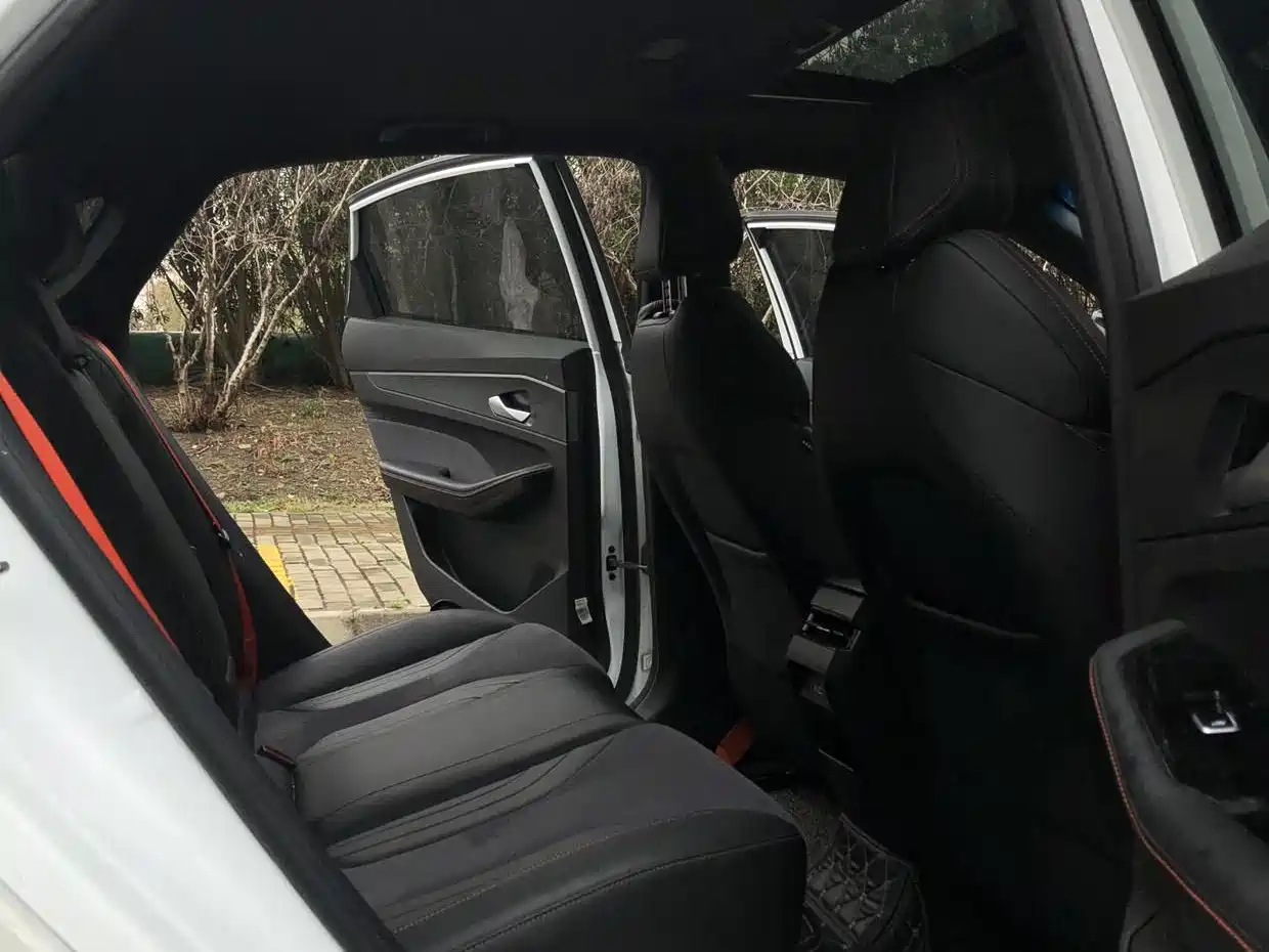 GEELY AUTOMOBILE BINRUI