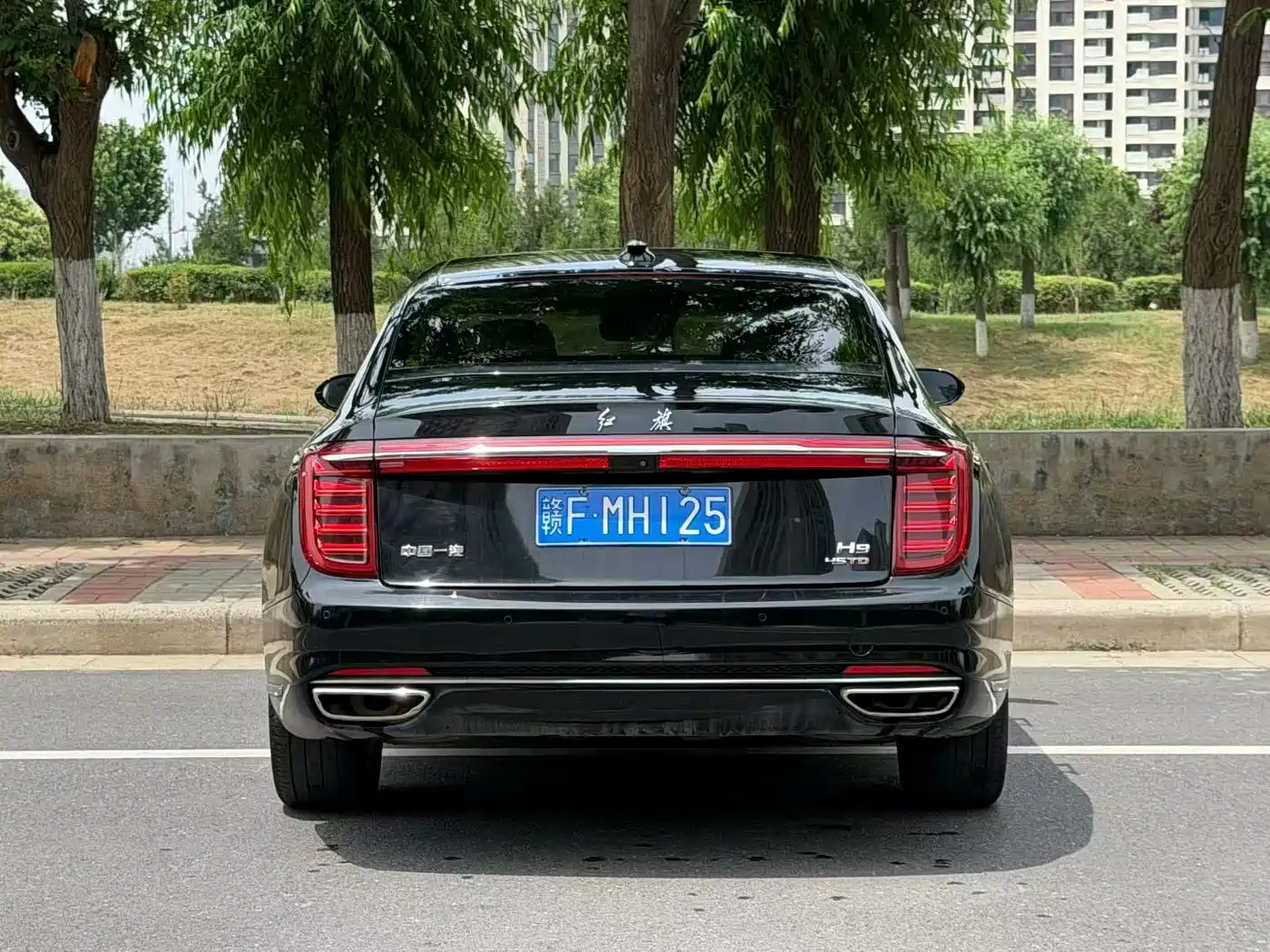 Hongqi H9 2020 2.0T Smart Connection Qi Xiang Edition фото 8