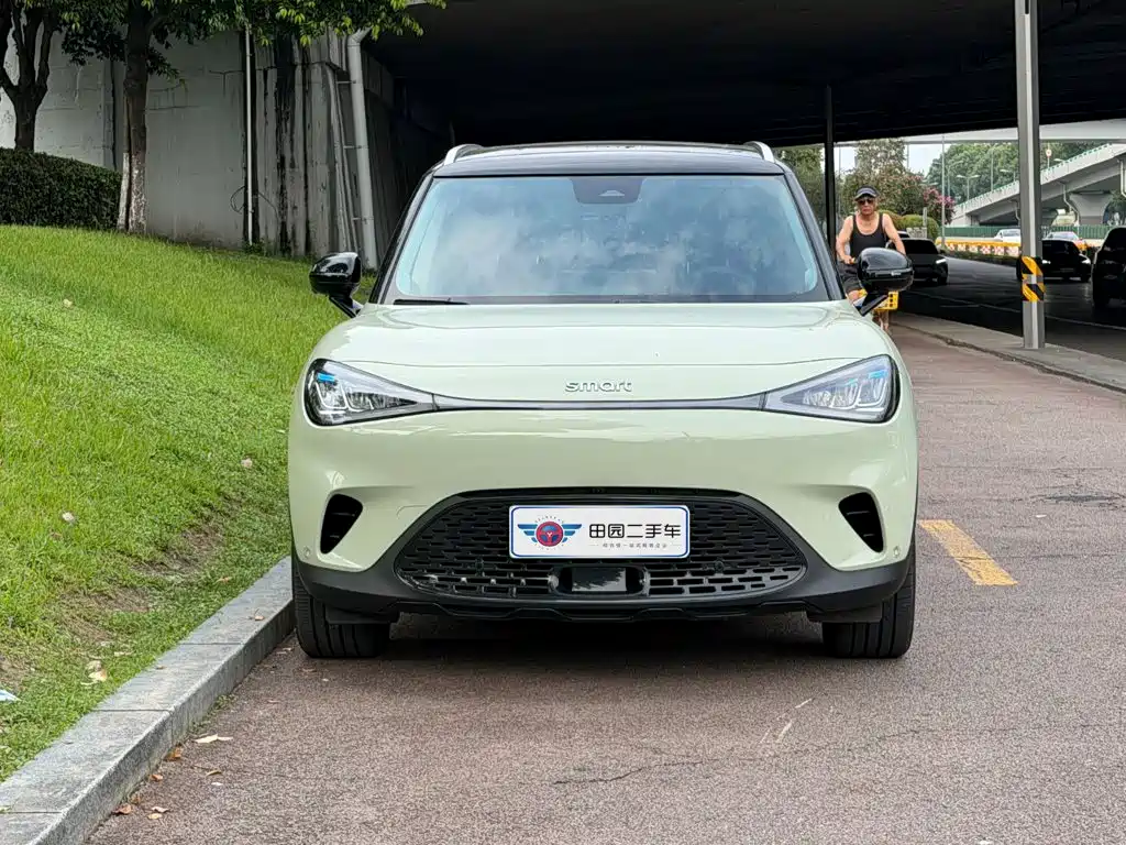 2025 smart Elf #1