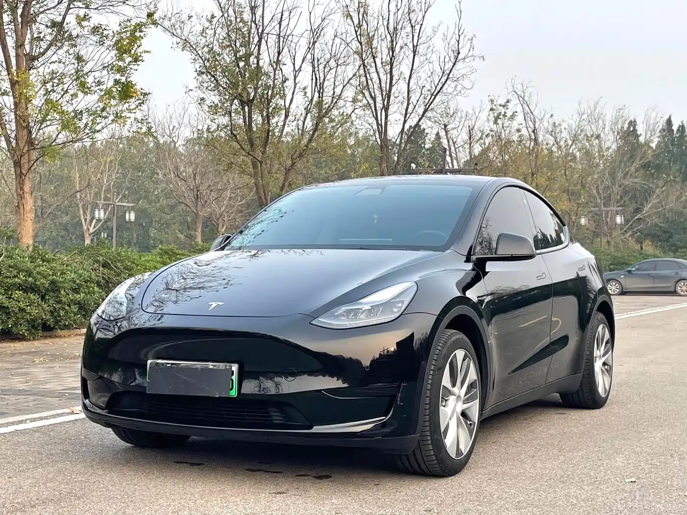 Tesla Model Y 2022 Rear-Wheel Drive Version