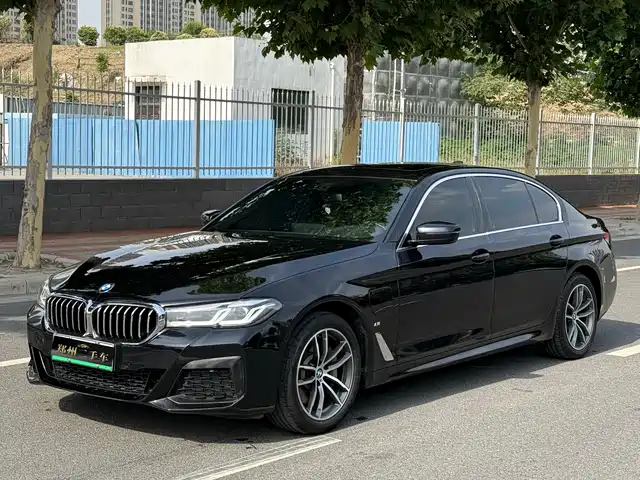 bmw 5-series-new-energy
