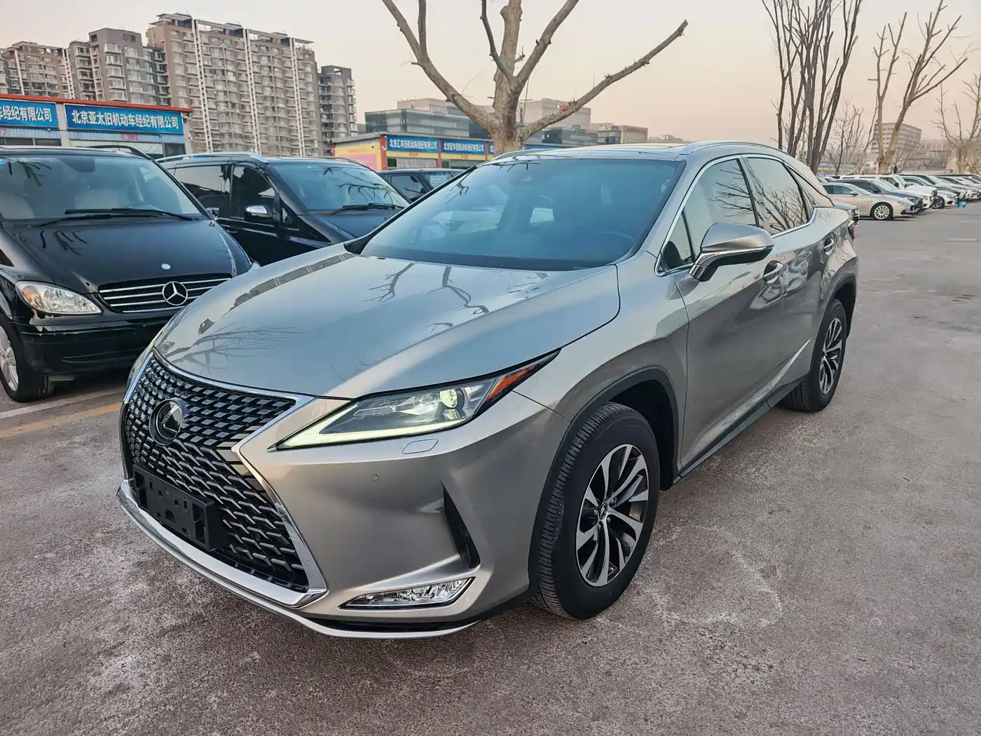 Lexus RX 2020 300 2WD Comfort Edition China V