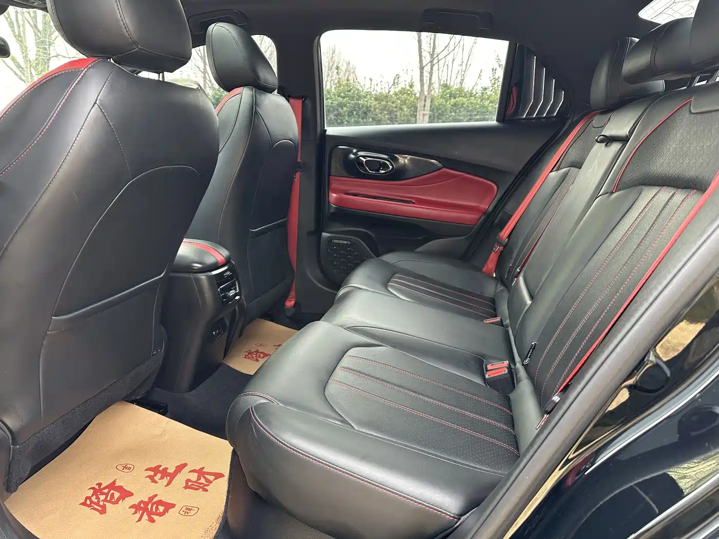 GAC TRUMPCHI SHADOW LEOPARD