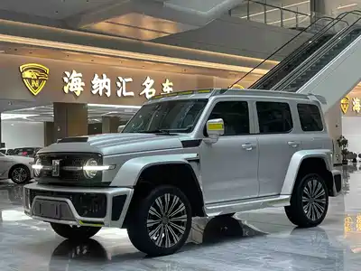 Chaojing Tank 300