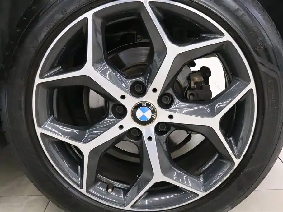 BMW X2 (Import) 2019 sDrive20i M Off-Road Package China VI фото 17