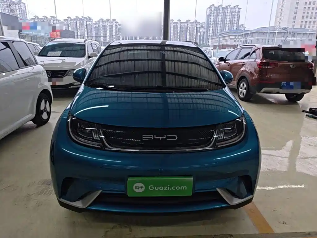 Фото 3 - BYD Dolphin