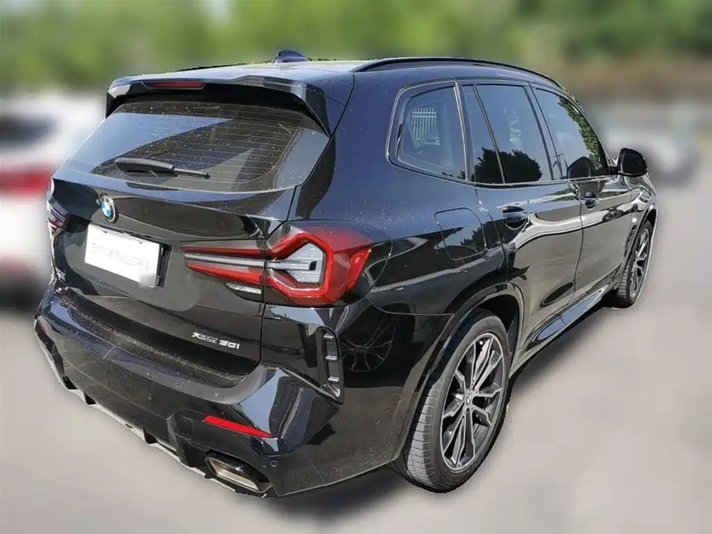 BMW X3 2023 xDrive30i Leading M Night Package фото 12