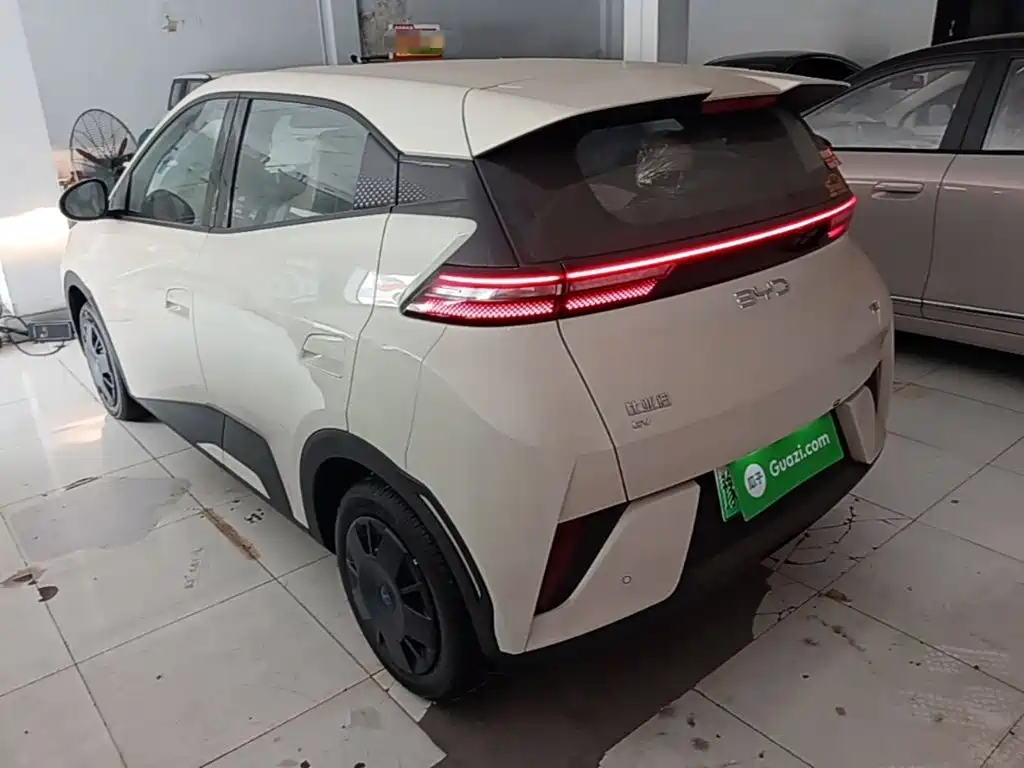 BYD Seagull 2026 2025 Smart Drive Edition 305km Vitality Version