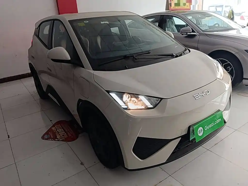 BYD Seagull 2026 2025 Smart Drive Edition 305km Vitality Version