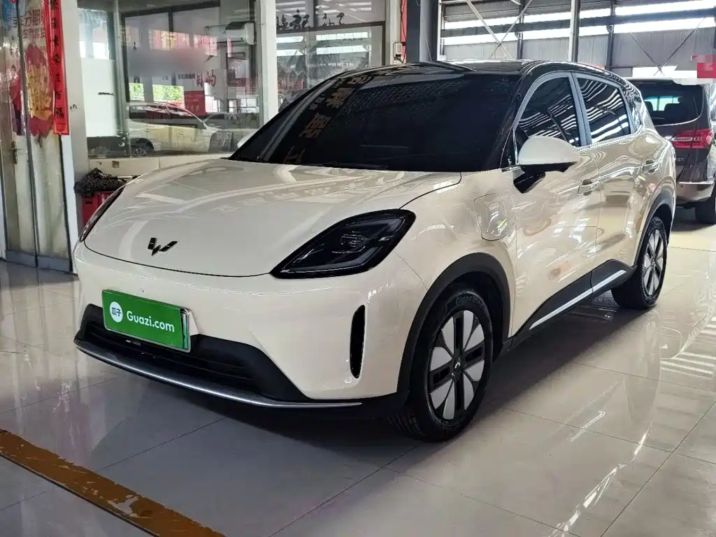 Wuling Motors Wuling Bingo S 2025 Model 325km Premium Edition