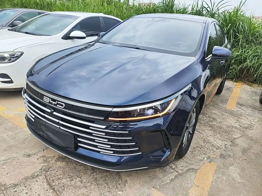 BYD Destroyer 05 2024