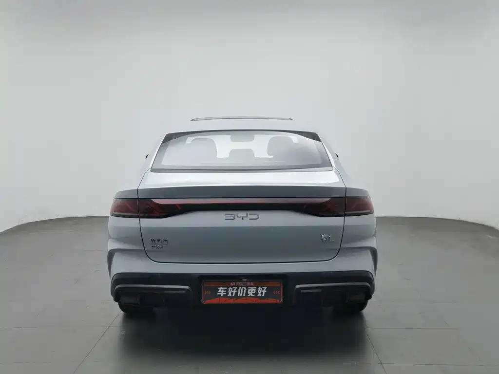 Фото 4 - BYD Qin L