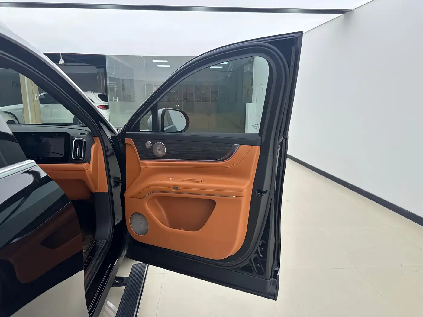 AITO Wenjie AITO M9 2024 Range Extender Max Edition 42kWh 6-seater фото 24