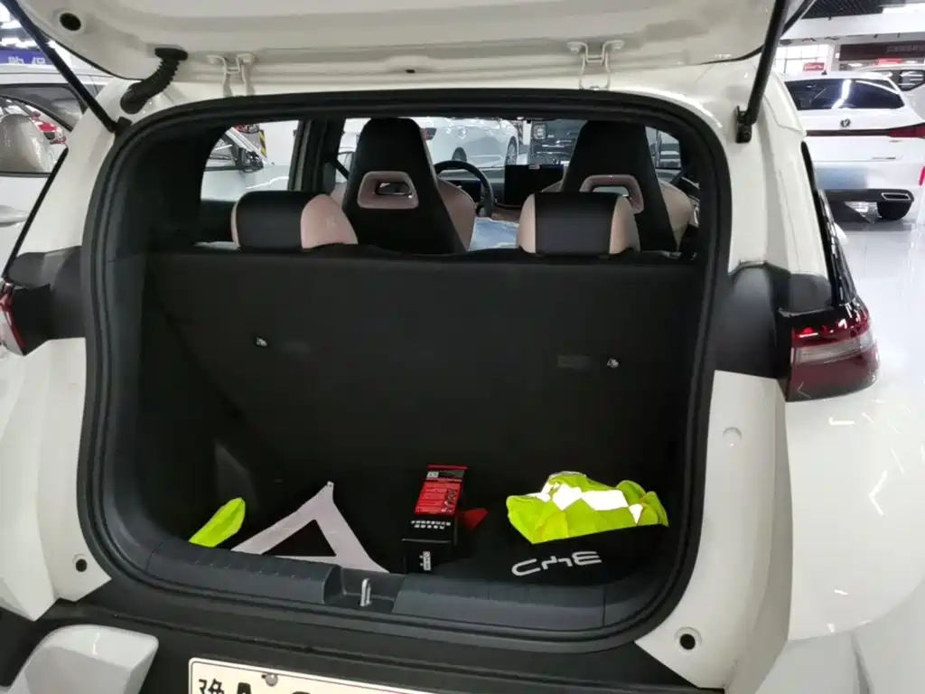BYD Seagull 2026 2025 Smart Drive Edition 305km Vitality Version