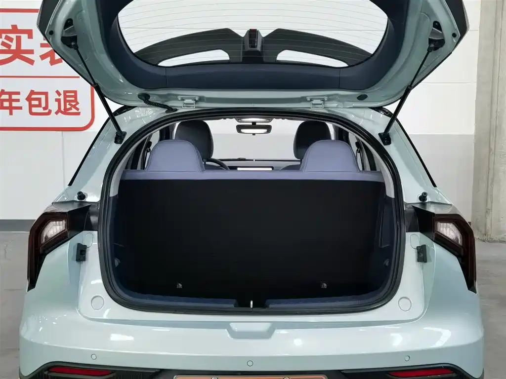 GEELY GEOMETRY E FIREFLY