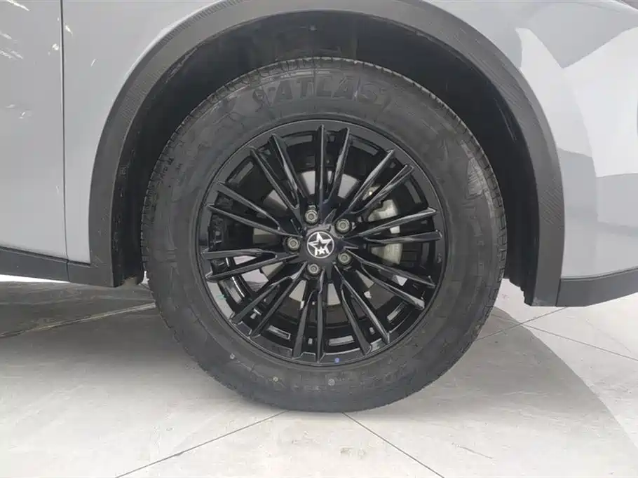 Venucia Big V 2023 2023 260T Idol Edition Pro