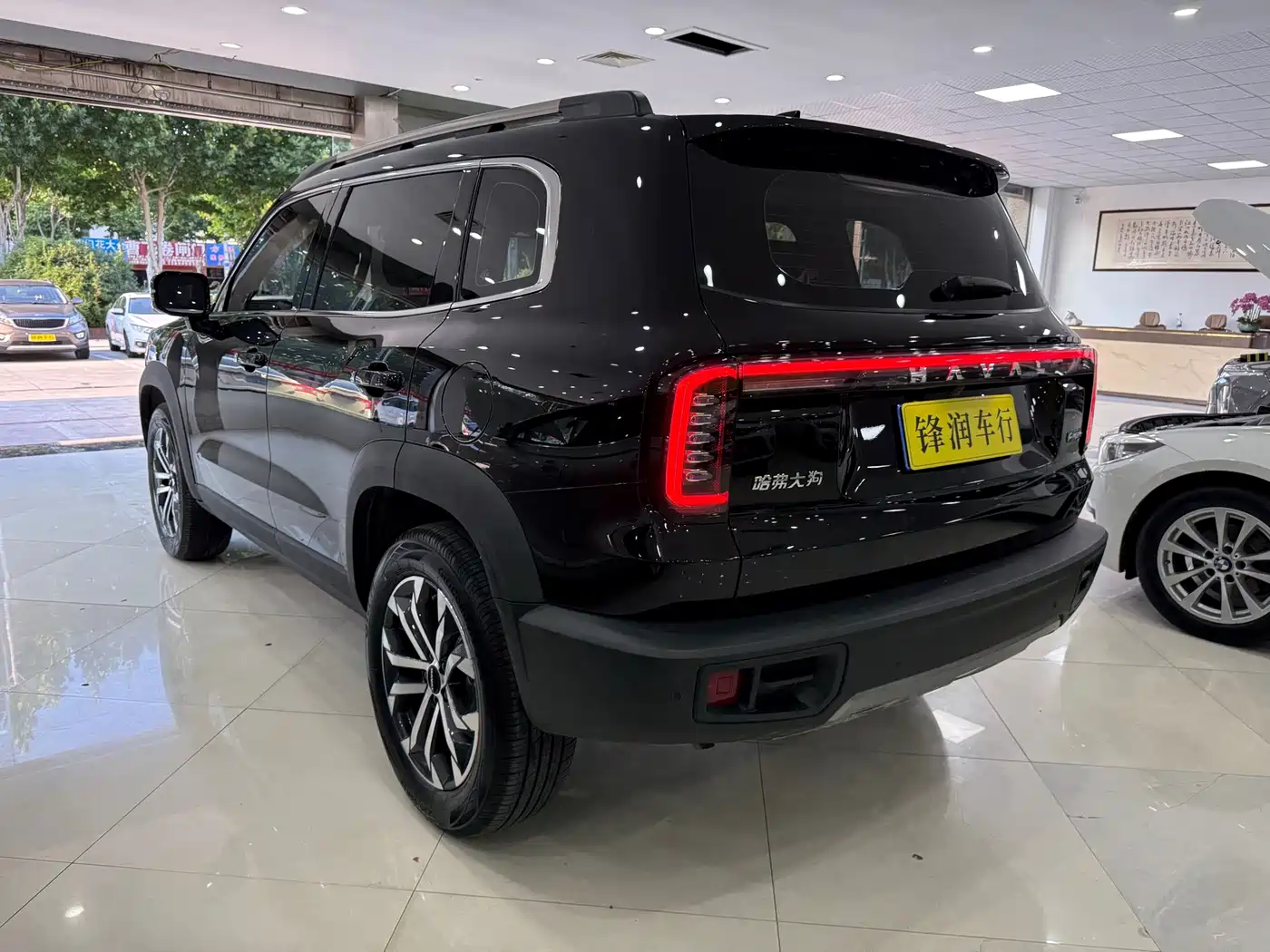 Haval Dargo 2025 2024 1.5T DCT Border Collie Edition