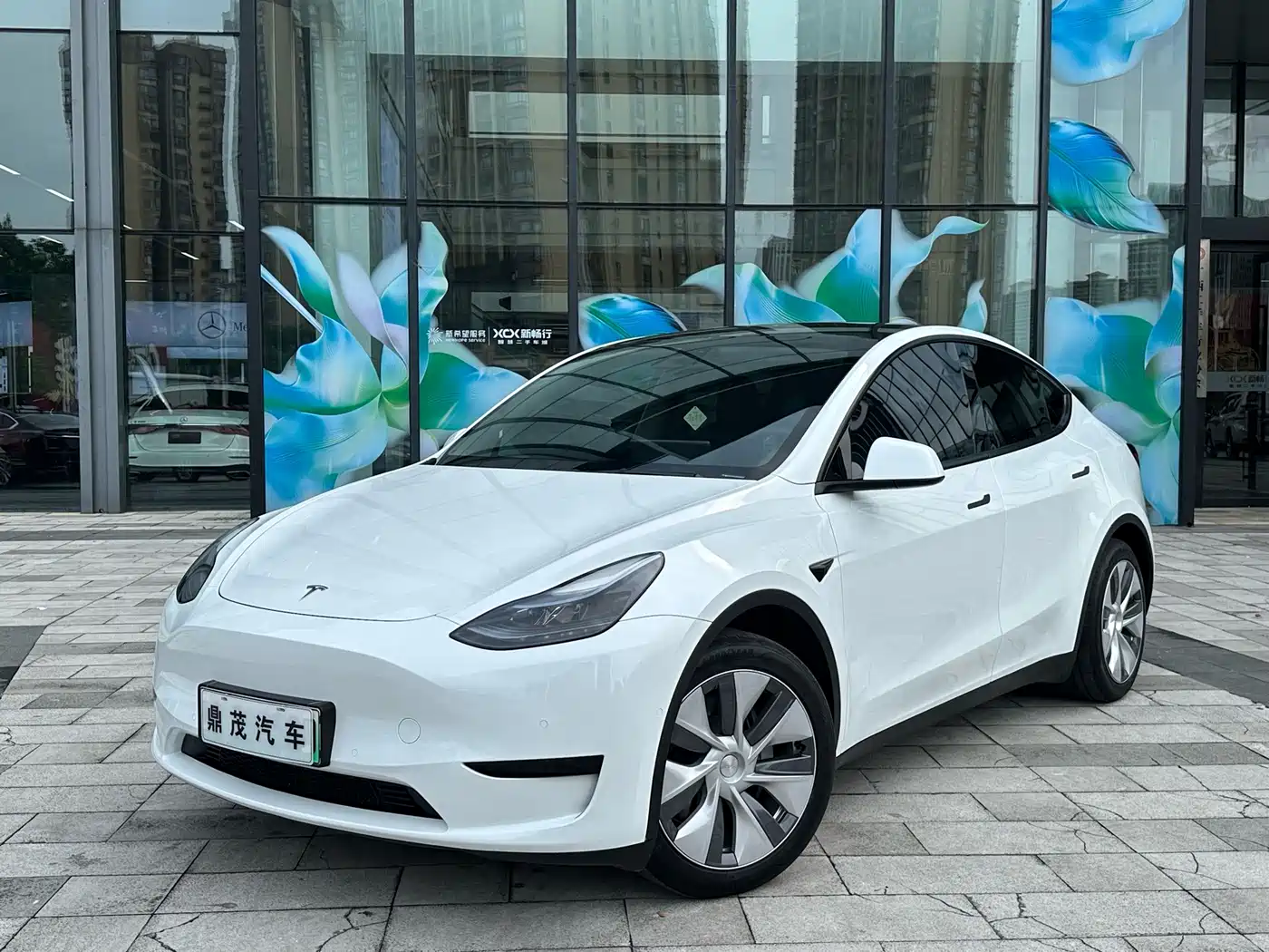 Tesla Model Y 2022