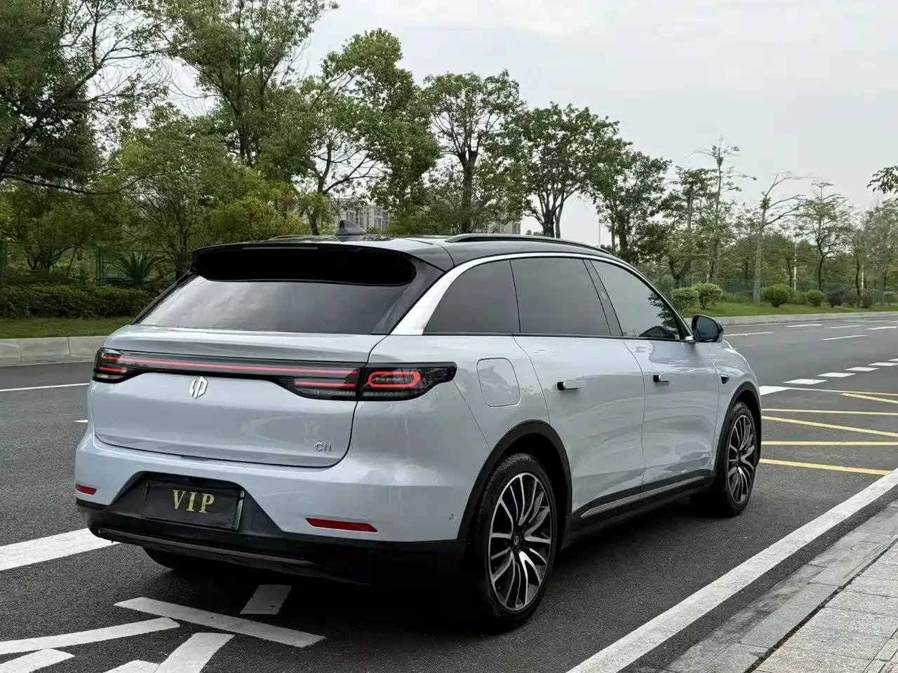 Leapmotor C11 2022 2021 Luxury Edition