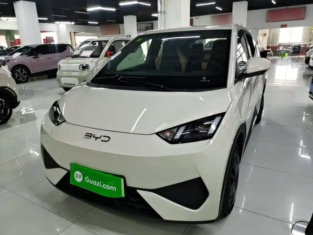 BYD Seagull 2026 2025 Smart Drive Edition 305km Vitality Version