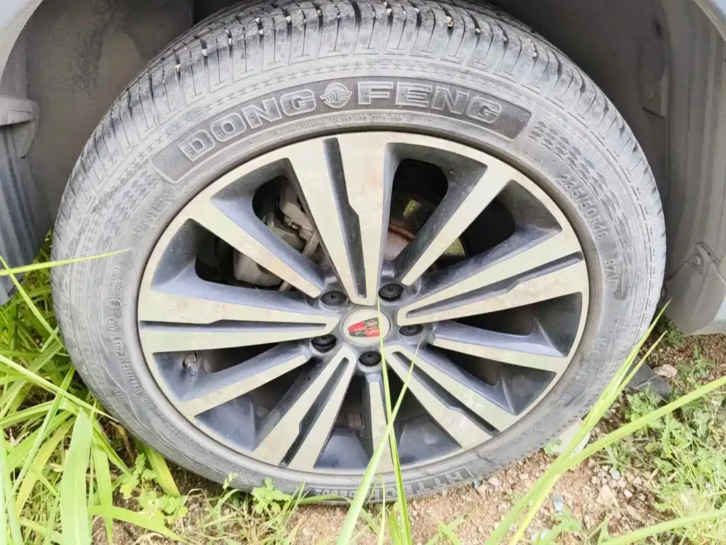 Фото 7 - Roewe RX5 New Energy