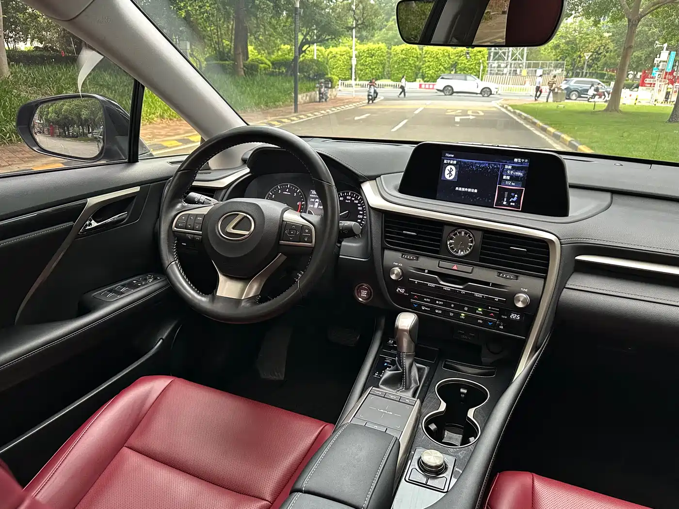 Фото 13 - Lexus RX