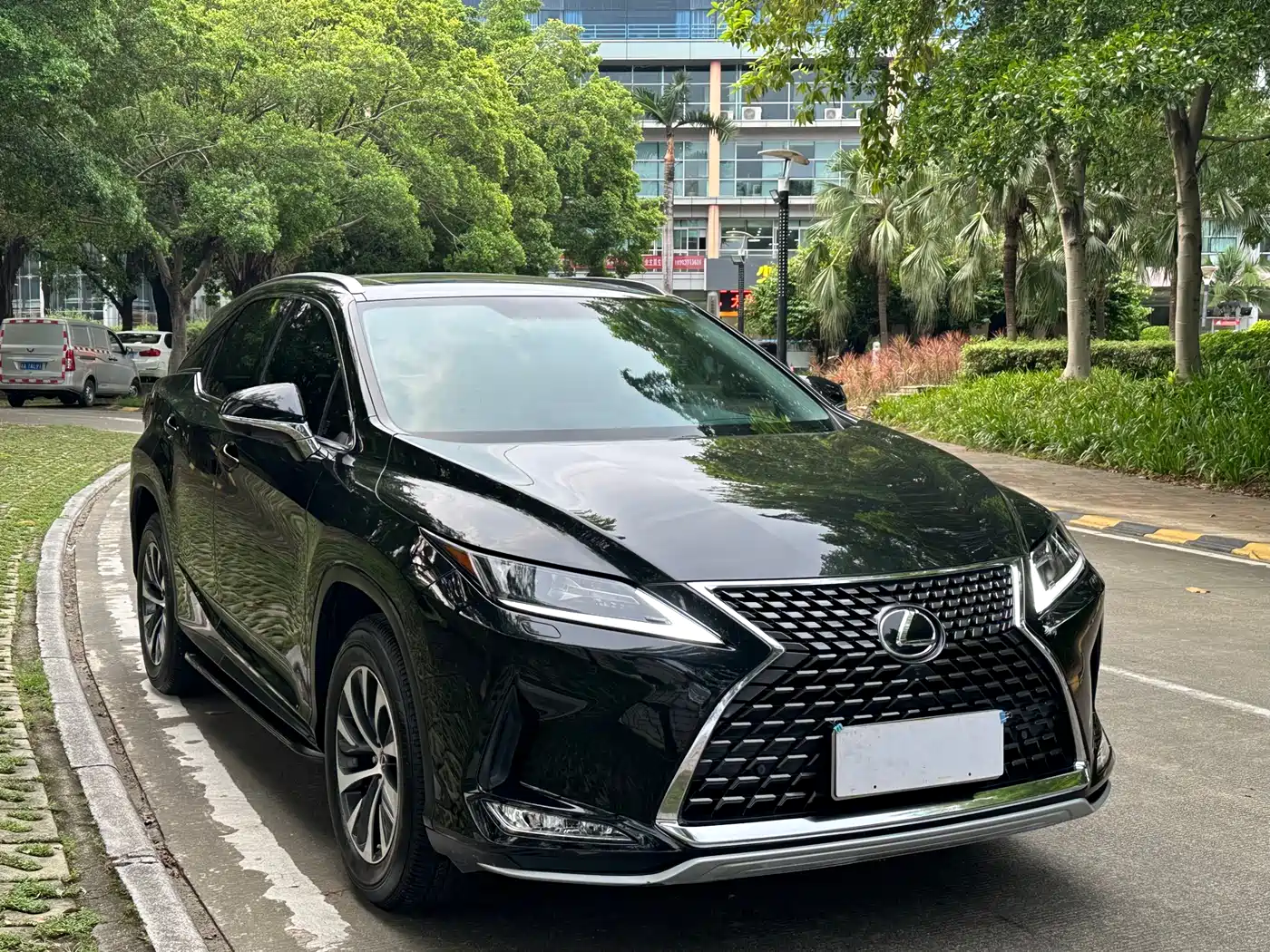 Фото 3 - Lexus RX
