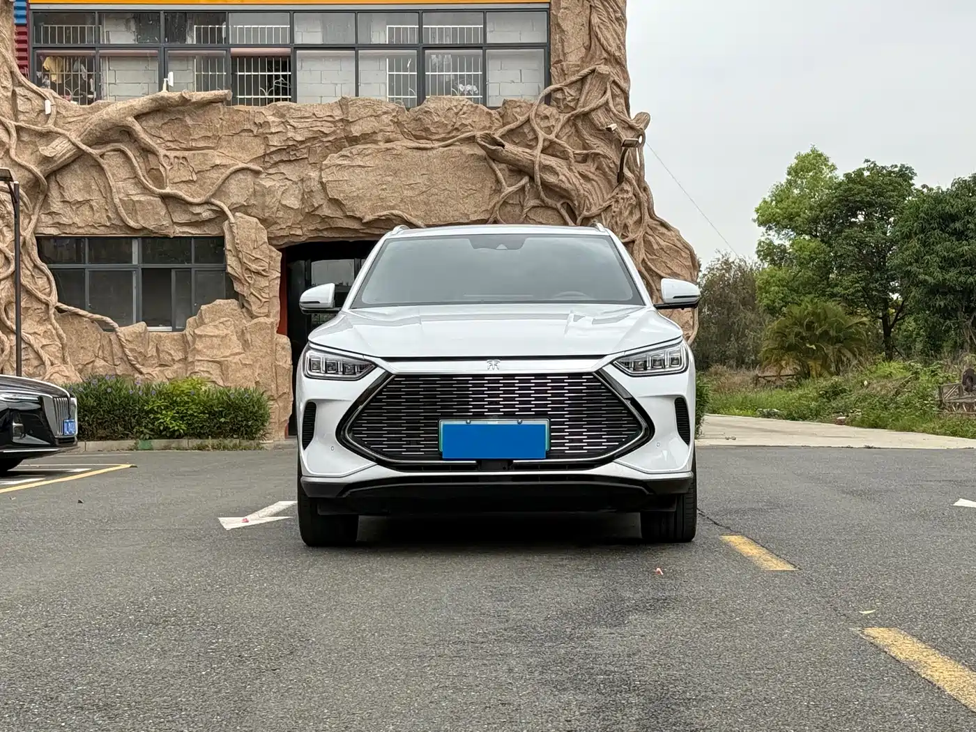 BYD SONGJIANG NEW ENERGY
