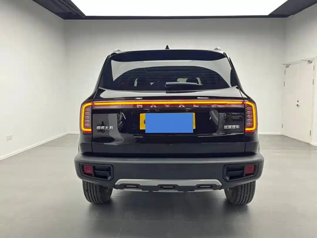 HAVAL BIG DOG