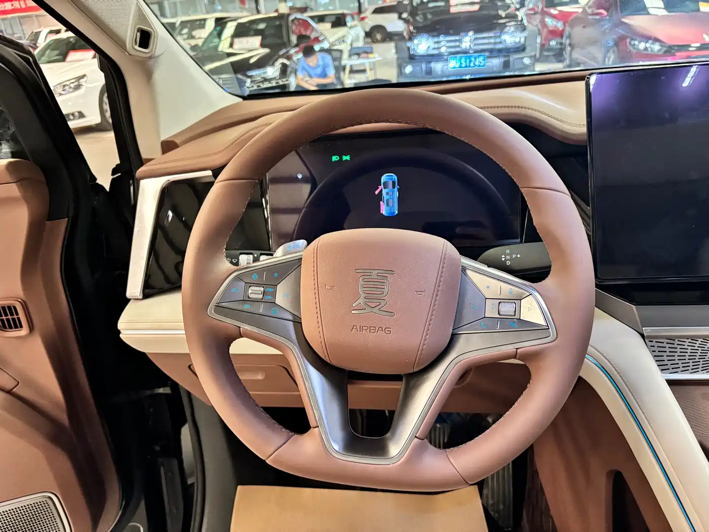 BYD Xia 2025 2025 DM-i 1.5T 100km Surpass Edition