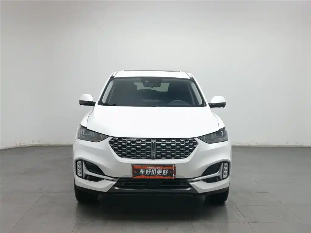 WEI PAI WEI BRAND VV6