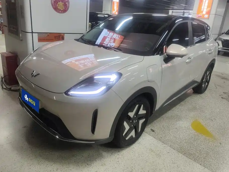 Wuling Motors Wuling Bingo S 2025 Model 325km Flagship Edition