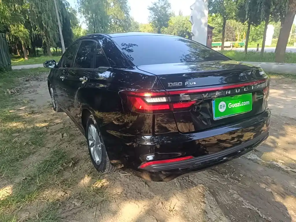 2025 Venucia D60