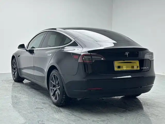 Tesla Model 3 (Import) 2019 2019 Long Range RWD Version