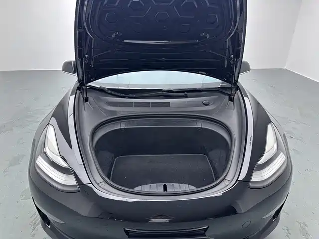 Tesla Model 3 (Import) 2019 2019 Long Range RWD Version