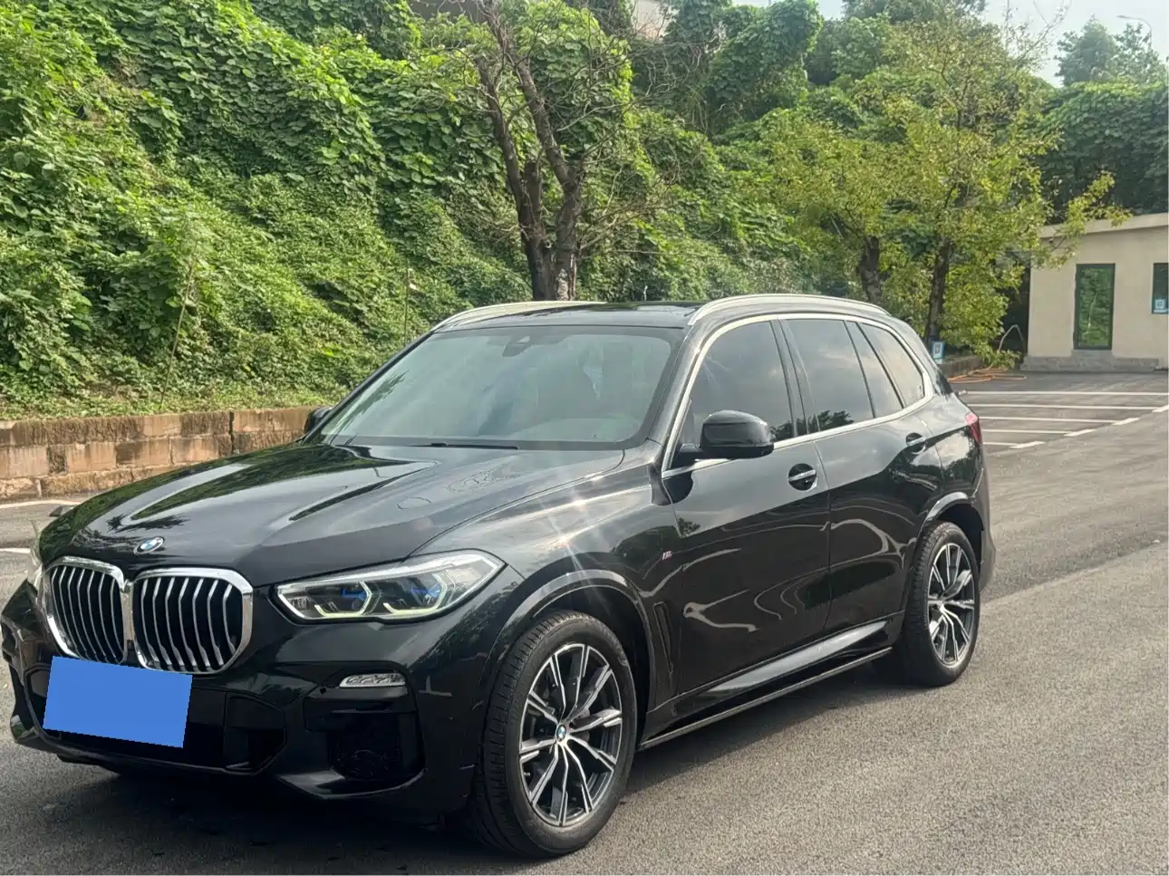 BMW X5 (Import) 2020 — пригон из Китая