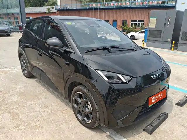 BYD Seagull 2025 Smart Drive Edition 305km Freedom Version — фото 2
