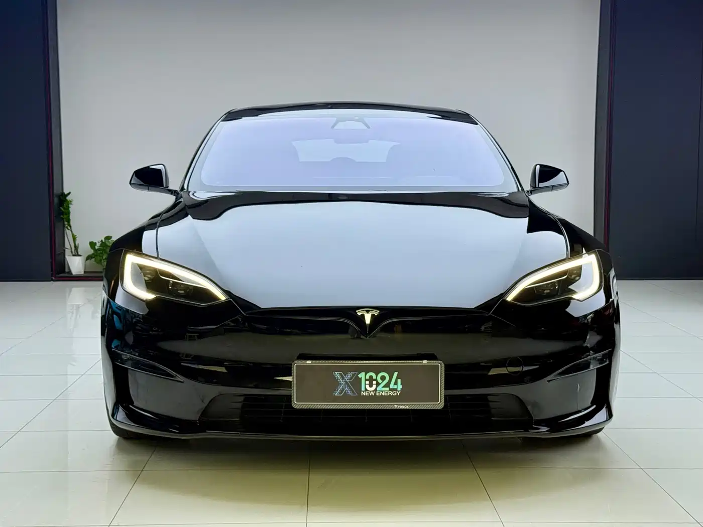 Tesla Model S 2023 Dual Motor All-Wheel Drive Edition фото 2