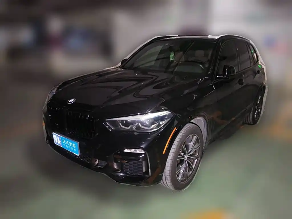BMW X5 (Import) 2019 — пригон из Китая