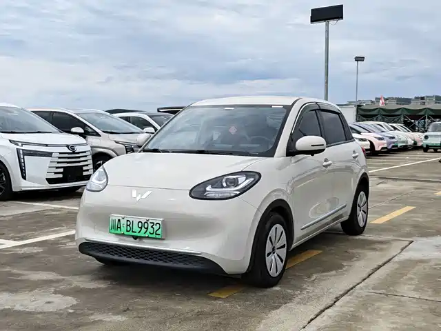  Wuling Motors Wuling Bingo 2023 Model 203km Lite Enjoyment Edition