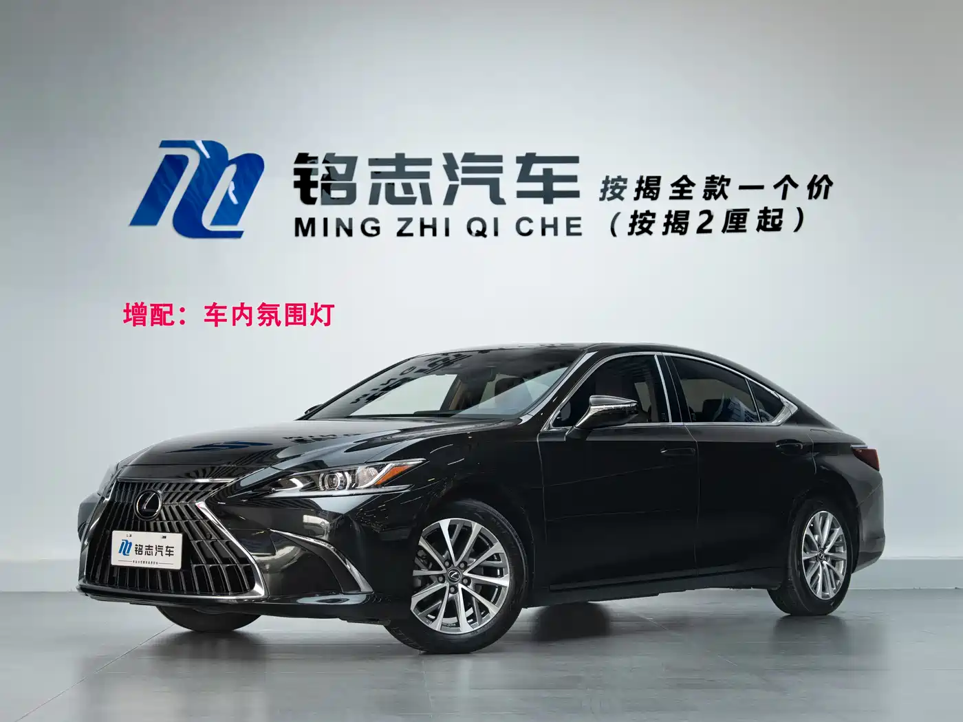  Lexus Lexus ES 2022 200 Excellence Edition