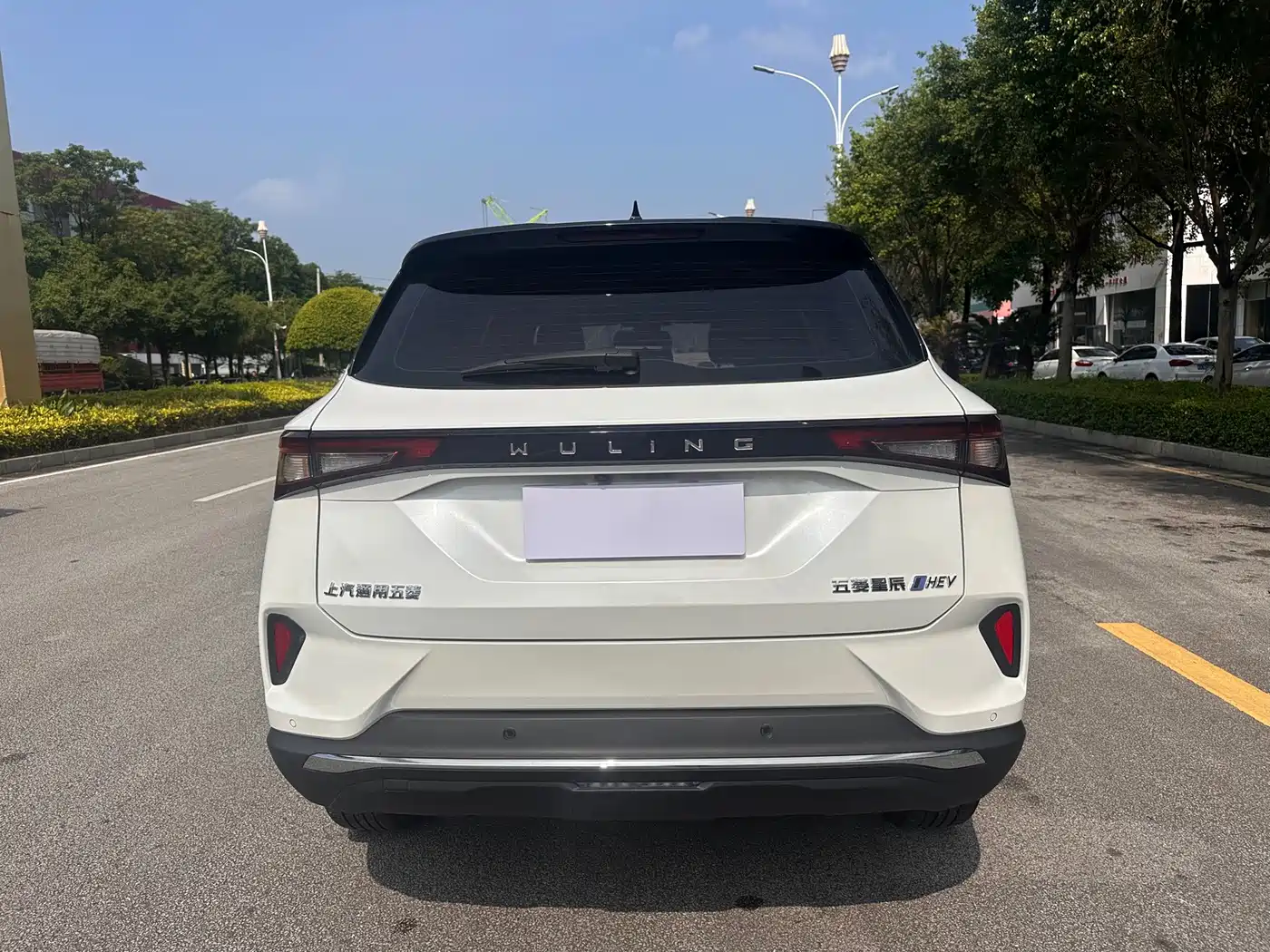 Wuling Motors Wuling Xingchen 2023 2022 2.0L DHT Electric Speed Edition