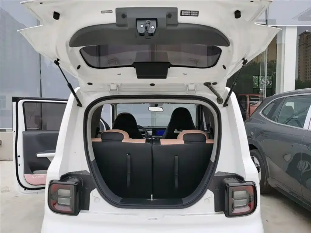 Geely Galaxy Panda 2025 Panda mini 210km Vitality Bear фото 19