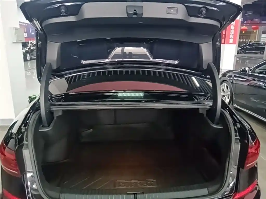 Volkswagen Passat 2024 380TSI Dragon Glory Edition фото 19