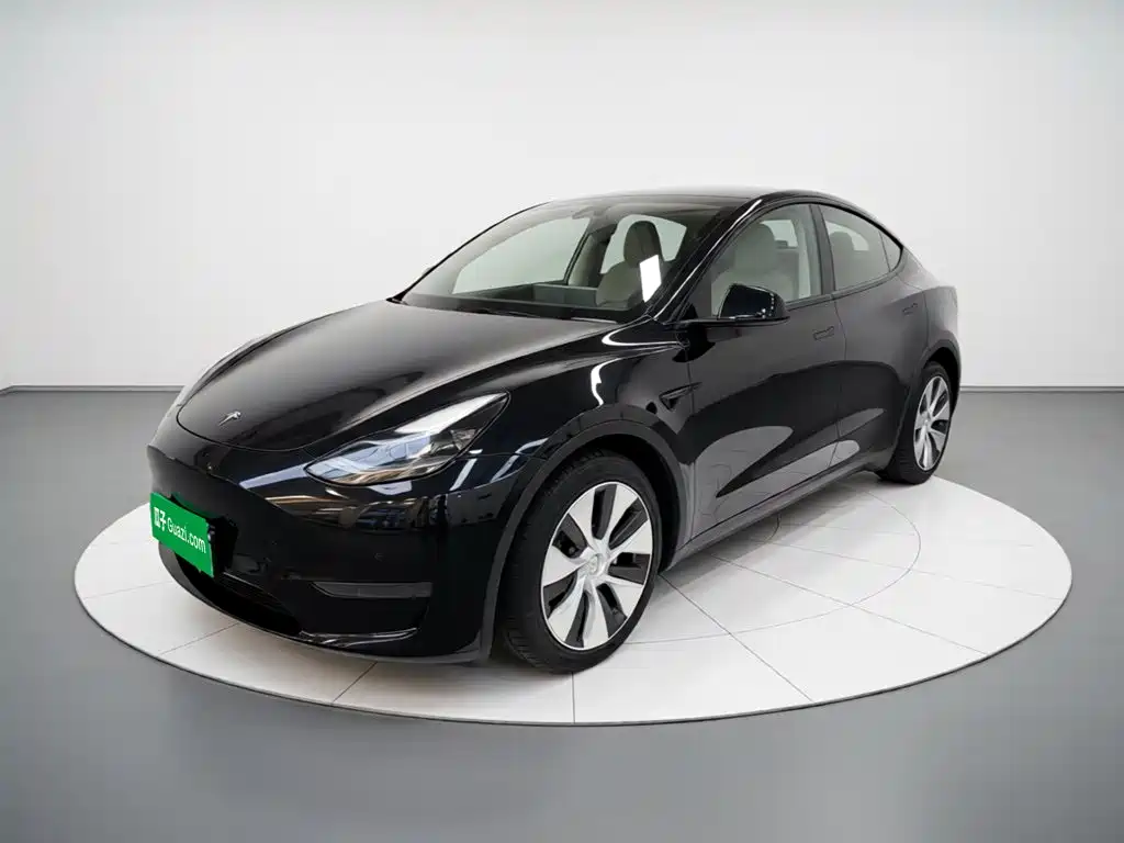 Tesla Model Y 2021 Standard Range Rear-Wheel Drive