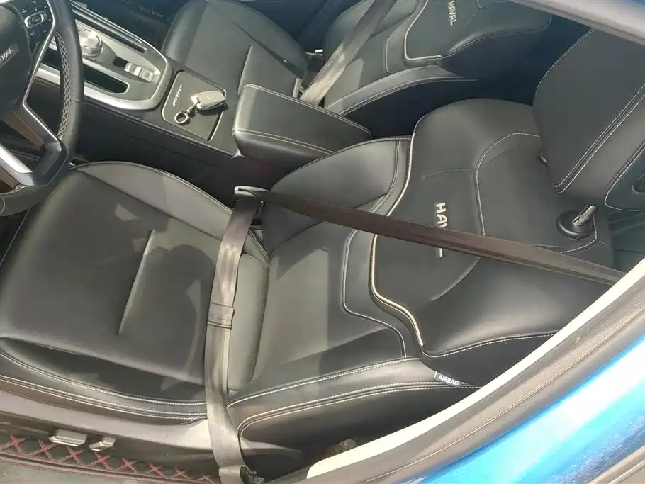 Haval First Love 2021 1.5T Automatic Premium Edition фото 9
