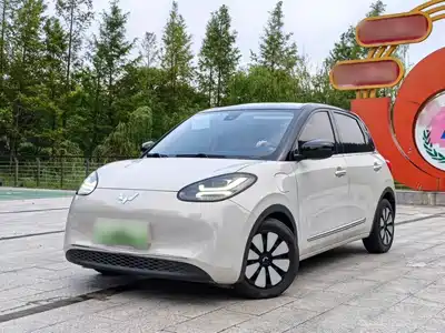 Wuling Bingo