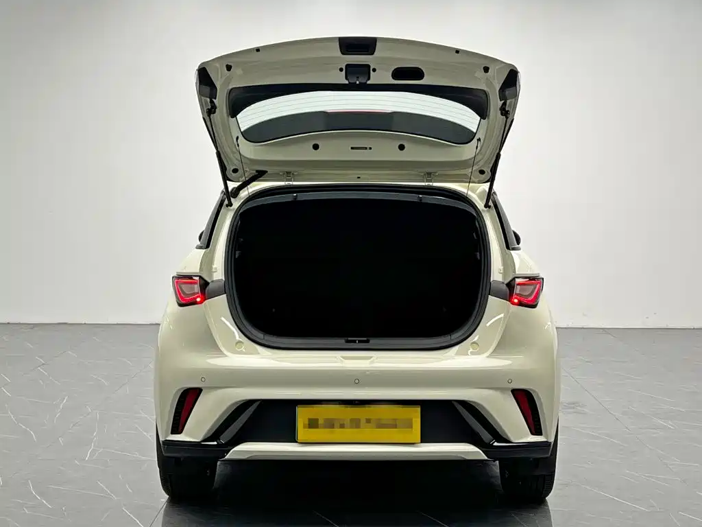 BYD Dolphin 2022 2021 Model 405km Fashion Edition