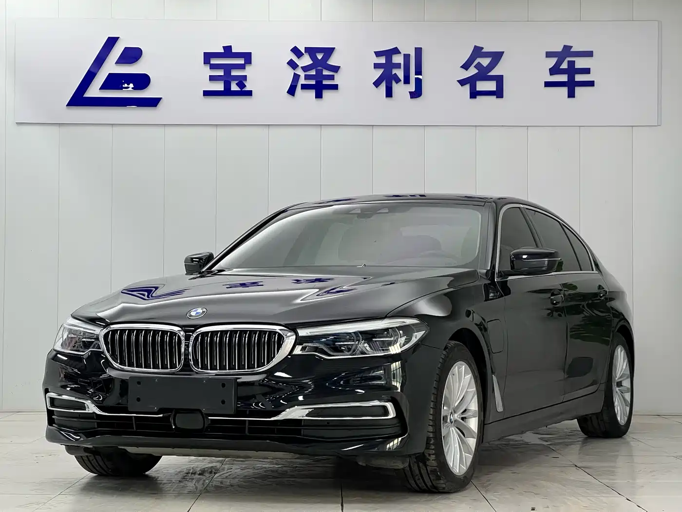 BMW 5 Series New Energy 2020 530Le Range Upgrade Luxury Package