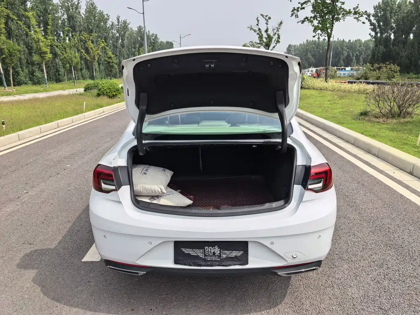 Buick Regal 2021 552T Elite фото 19